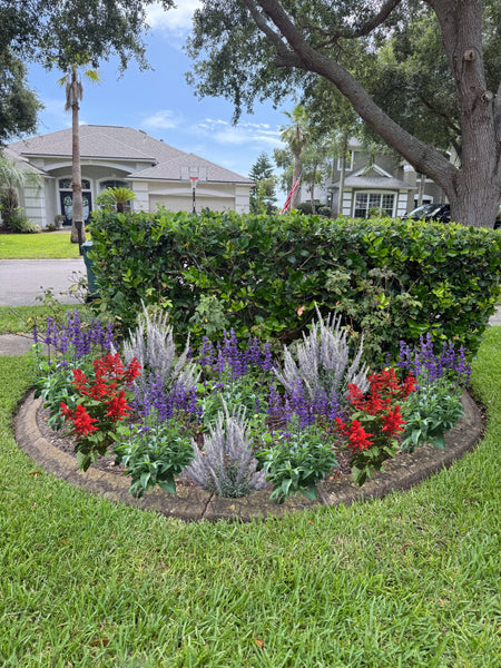 Landscape Design & Installation Consultation
