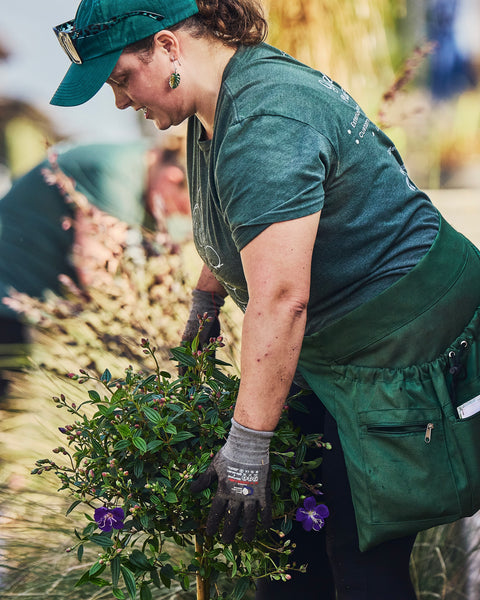 Landscape Maintenance Consultation
