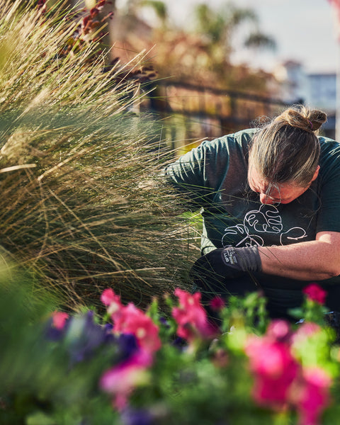 Landscape Maintenance Consultation