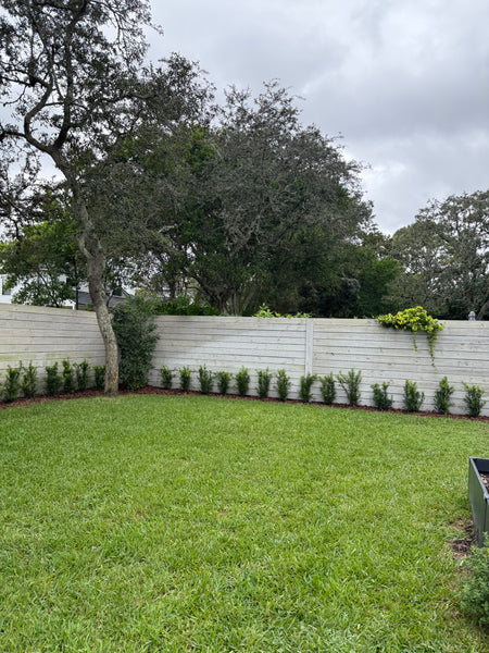 Landscape Design & Installation Consultation