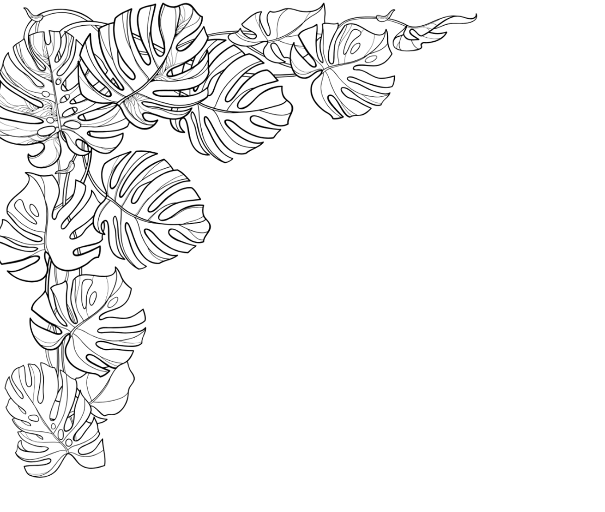 Black and white line art illustration of monstera deliciosa leaves arranged in the top-left corner of a square canvas, leaving open space on the right and bottom.