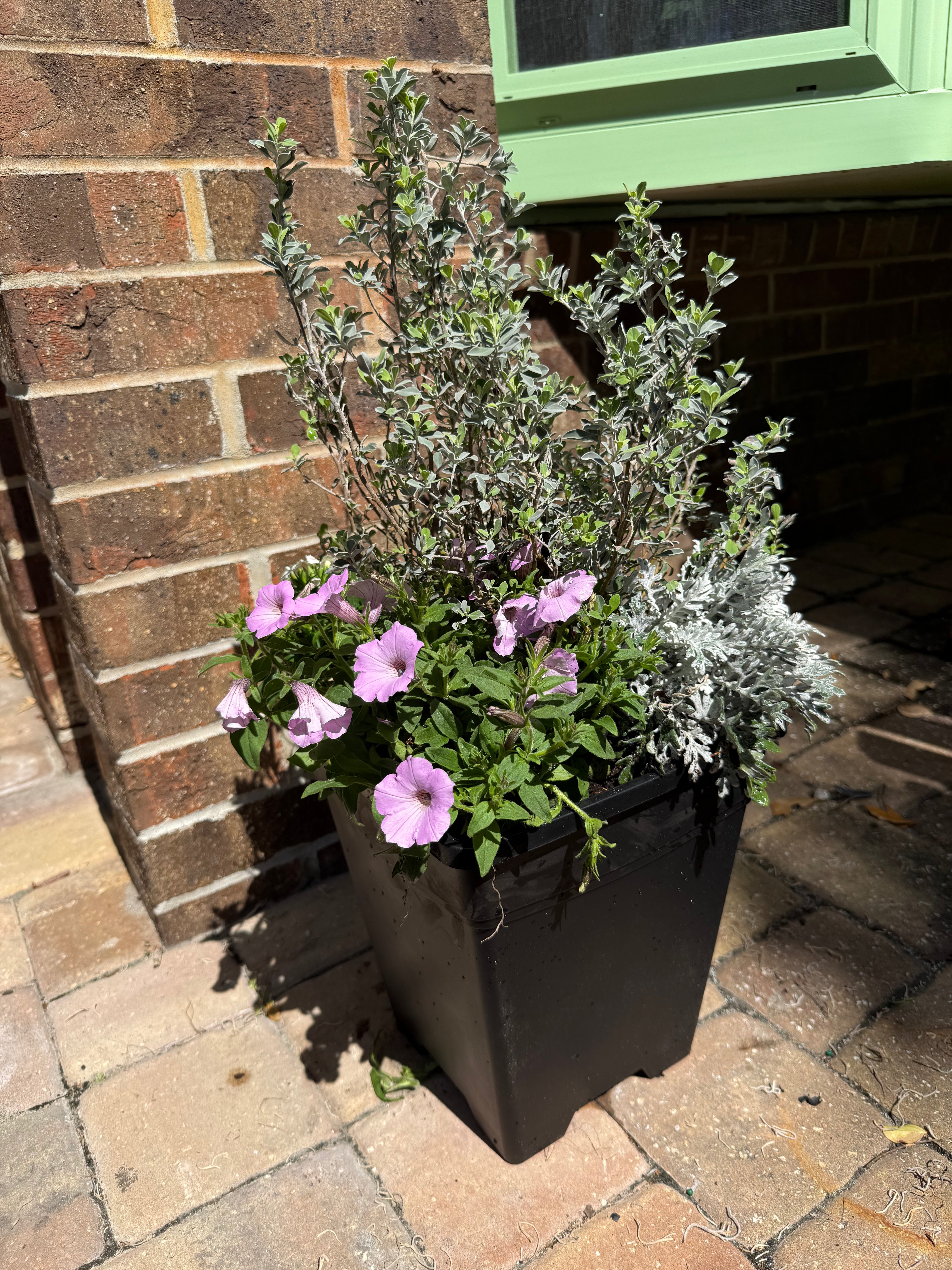 Express Planter Square 10” Insert