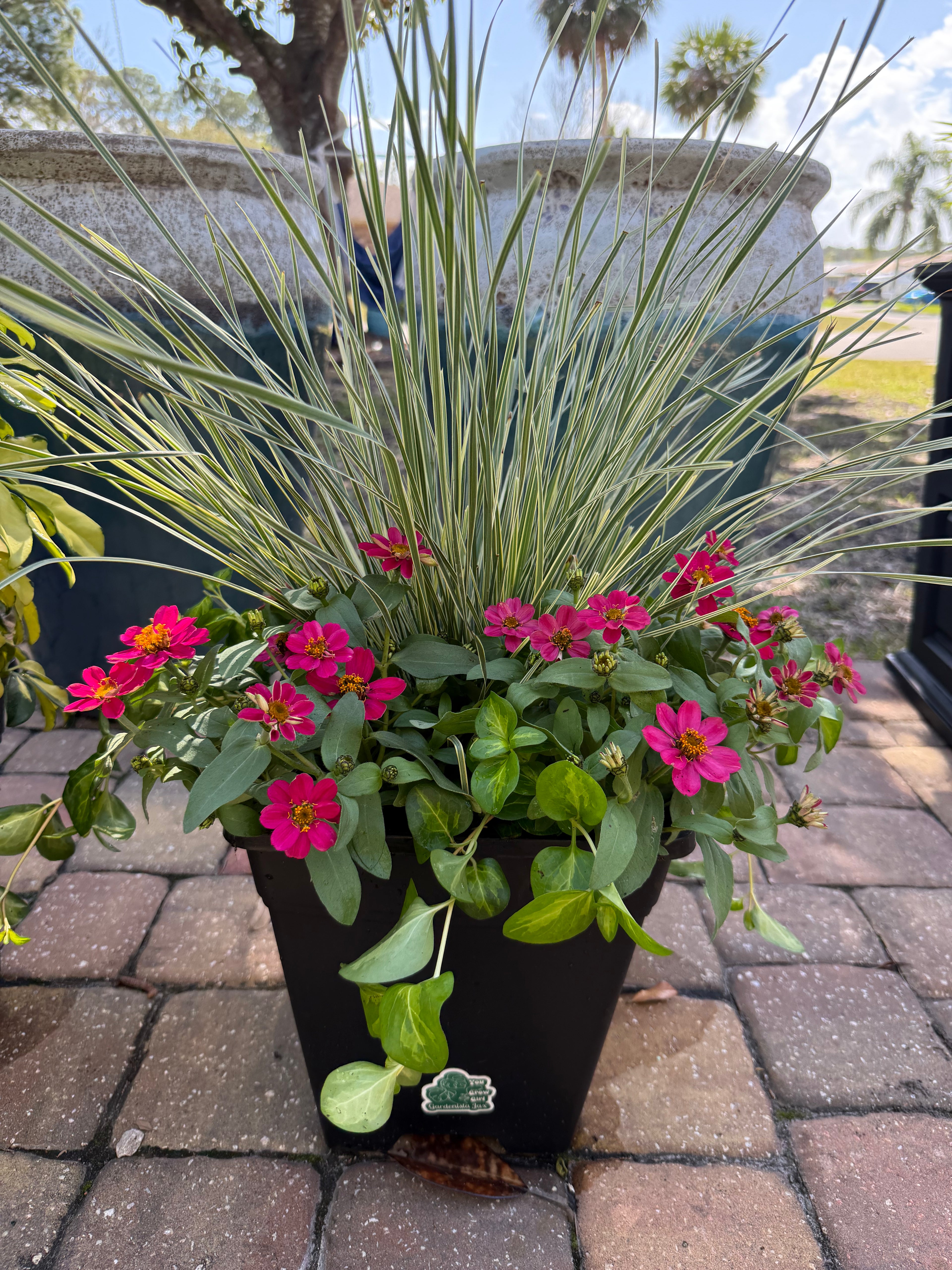 Express Planter Square 10” Insert