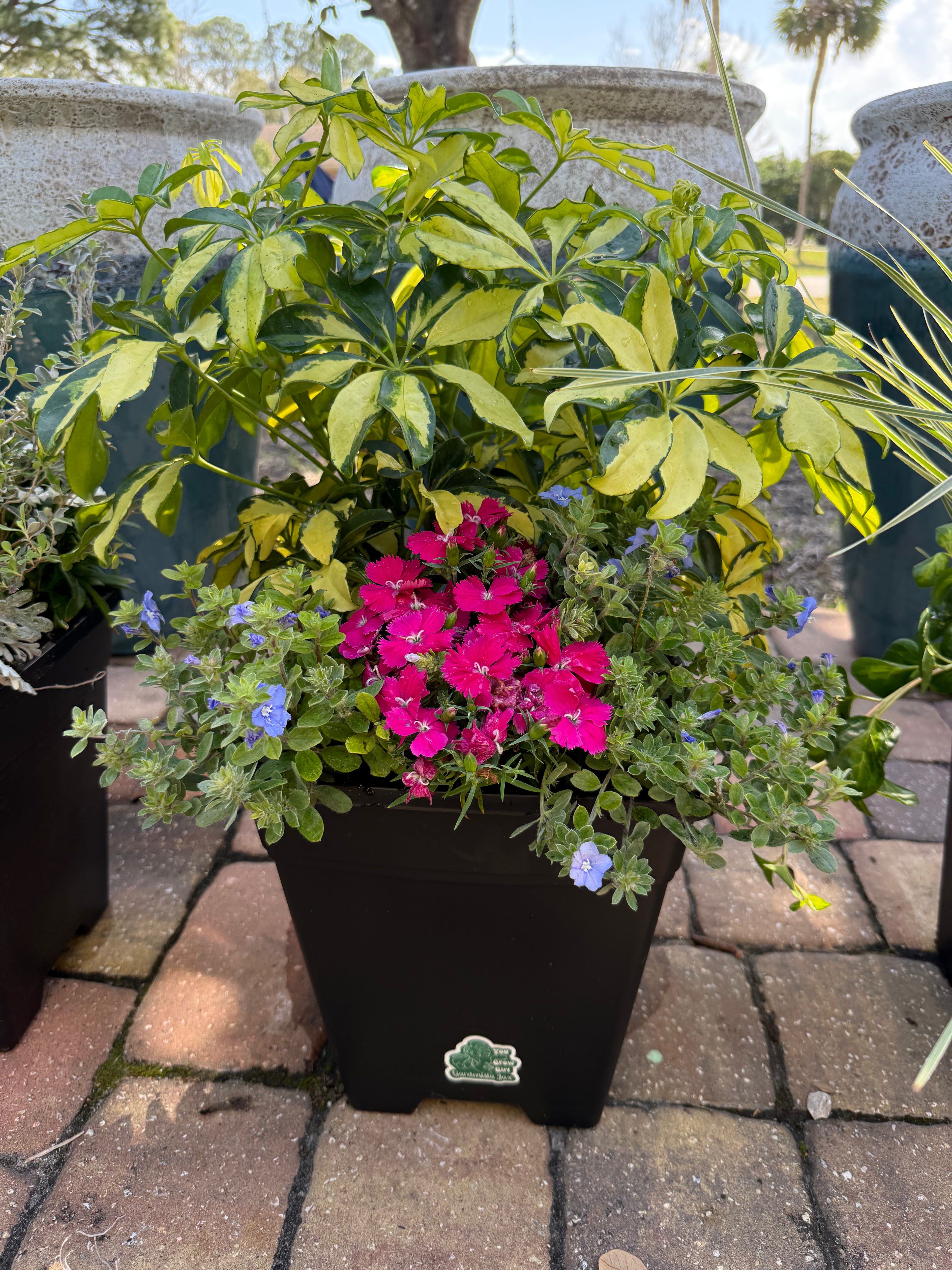 Express Planter Square 10” Insert