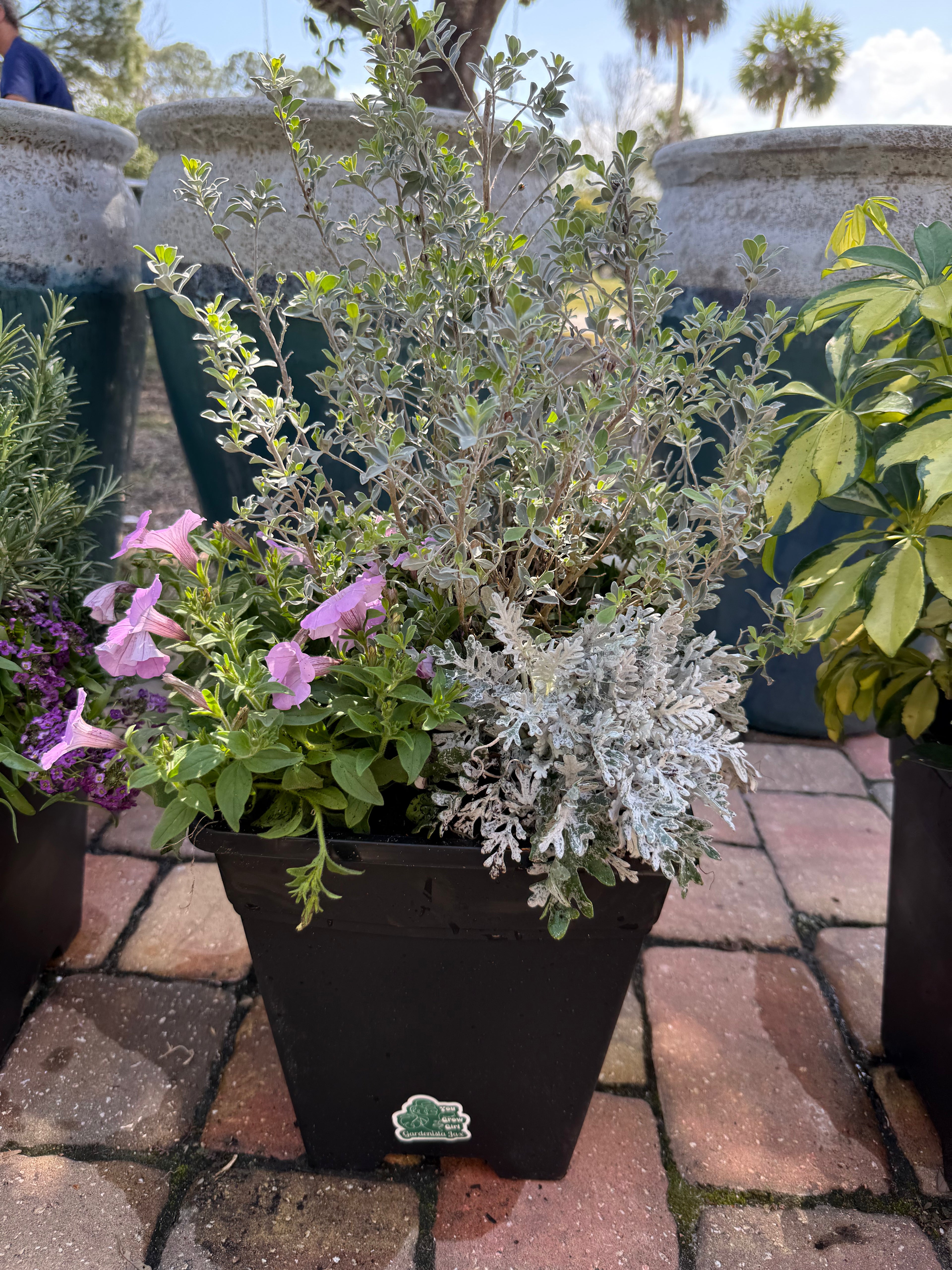 Express Planter Square 10” Insert
