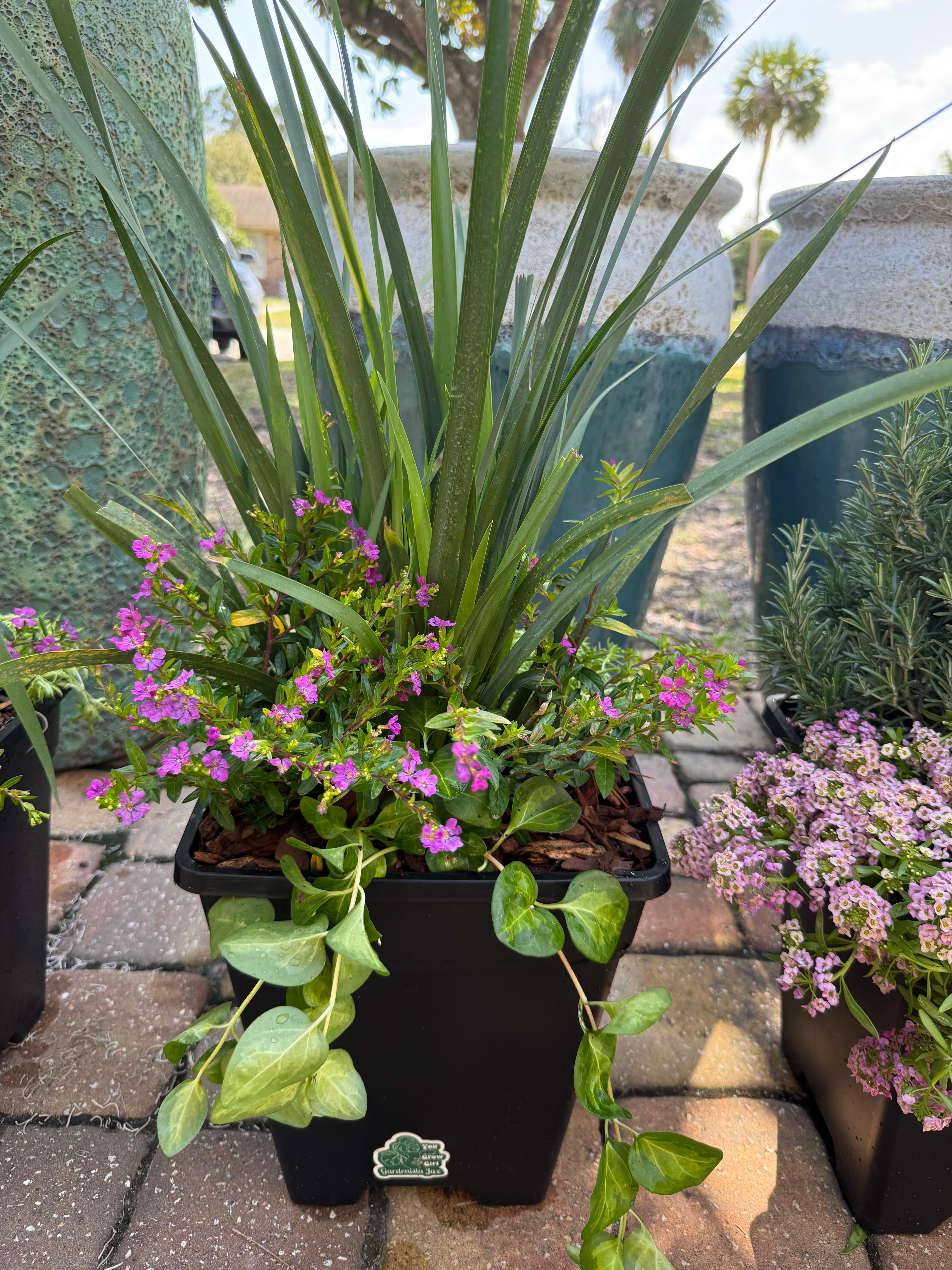 Potted plants with green leaves and pink flowers on a brick patio