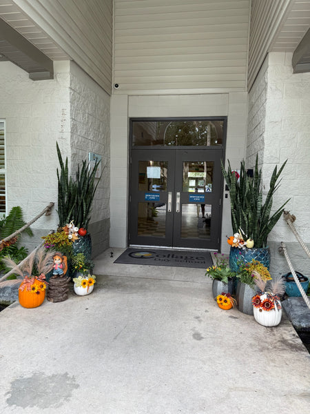 Fall Seasonal Planter Glow Up