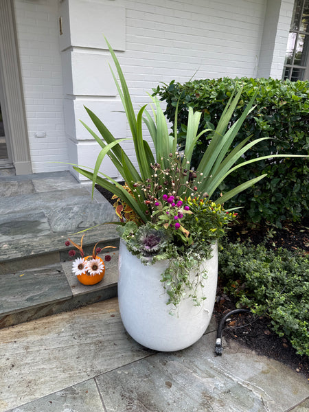 Fall Seasonal Planter Glow Up