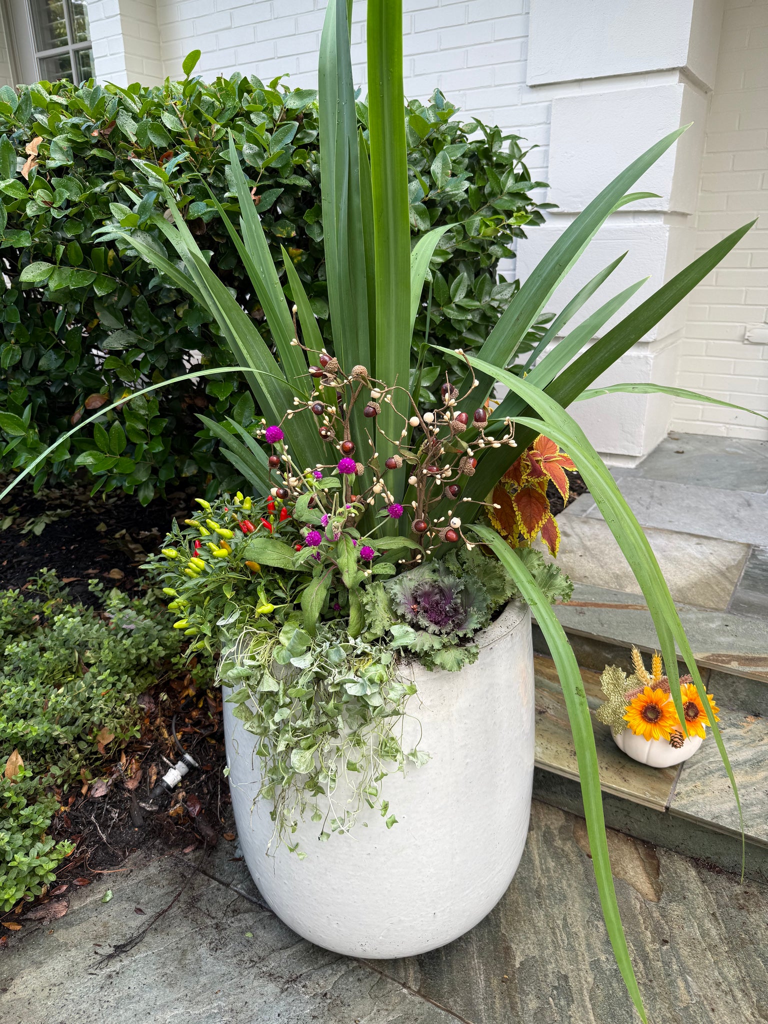 Fall Seasonal Planter Glow Up