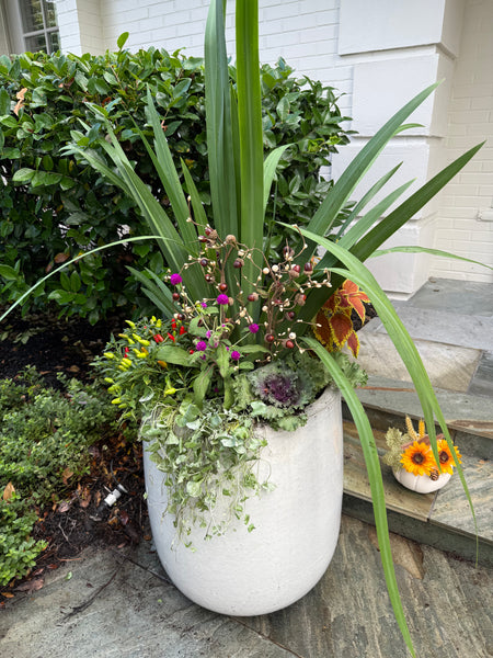 Fall Seasonal Planter Glow Up