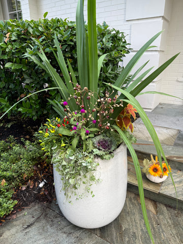 Fall Seasonal Planter Glow Up