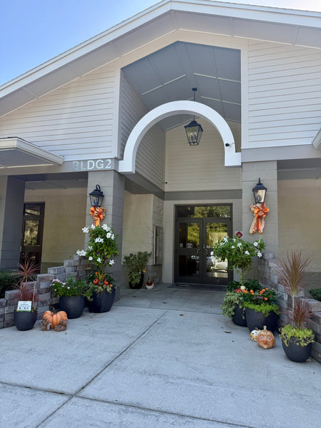 Fall Seasonal Planter Glow Up