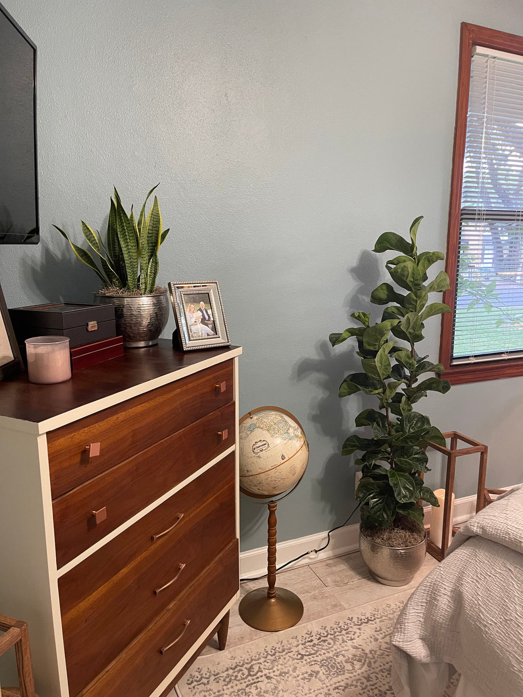 Virtual Plant Styling & Advice Consultation