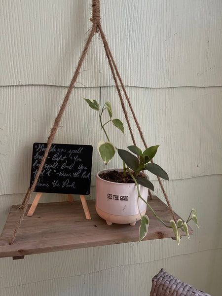 Virtual Plant Styling & Advice Consultation