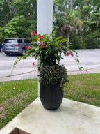 Custom Planter Consultation