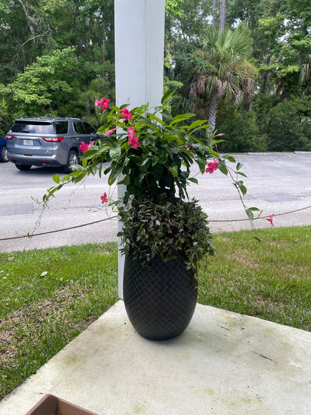 Exterior Planters Design with Advice Consultation