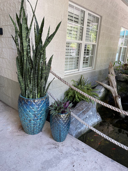 Exterior Planters Design with Advice Consultation