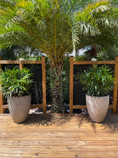 Exterior Planters Design with Advice Consultation