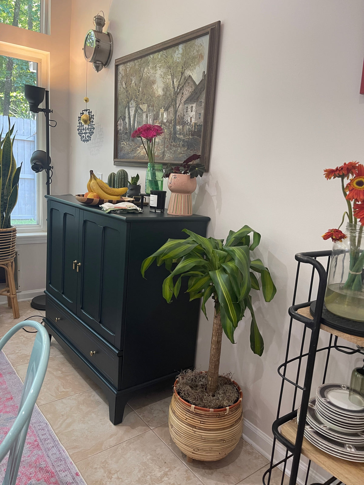 Interior Plant Care & Plant Sitting Consultation
