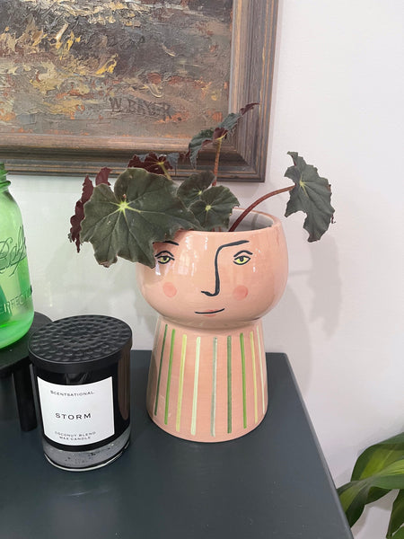 Virtual Plant Styling & Advice Consultation