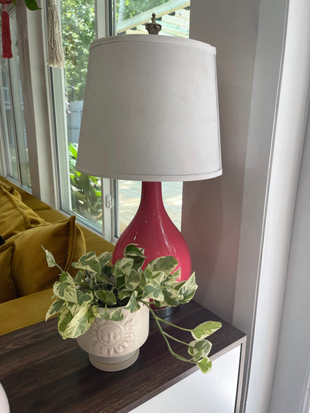 Virtual Plant Styling & Advice Consultation