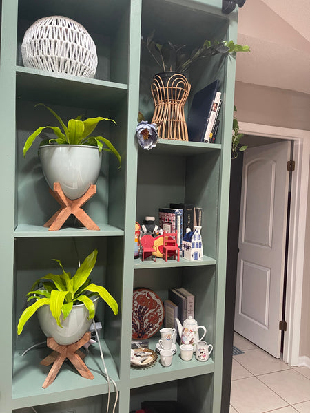 Virtual Plant Styling & Advice Consultation