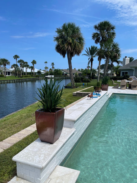 Exterior Planters Design with Advice Consultation