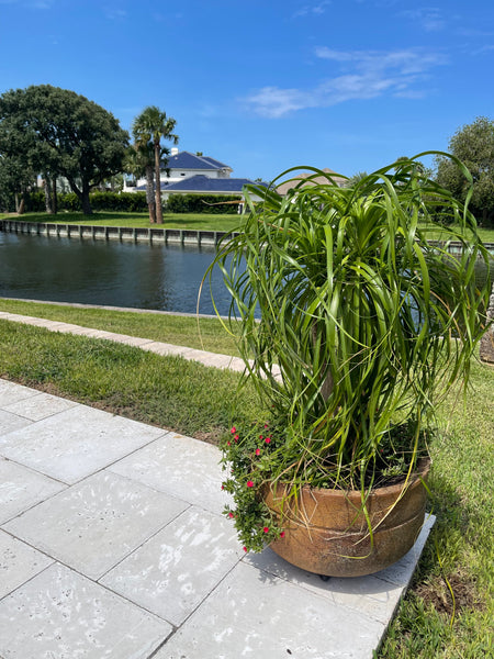 Exterior Planters Design with Advice Consultation