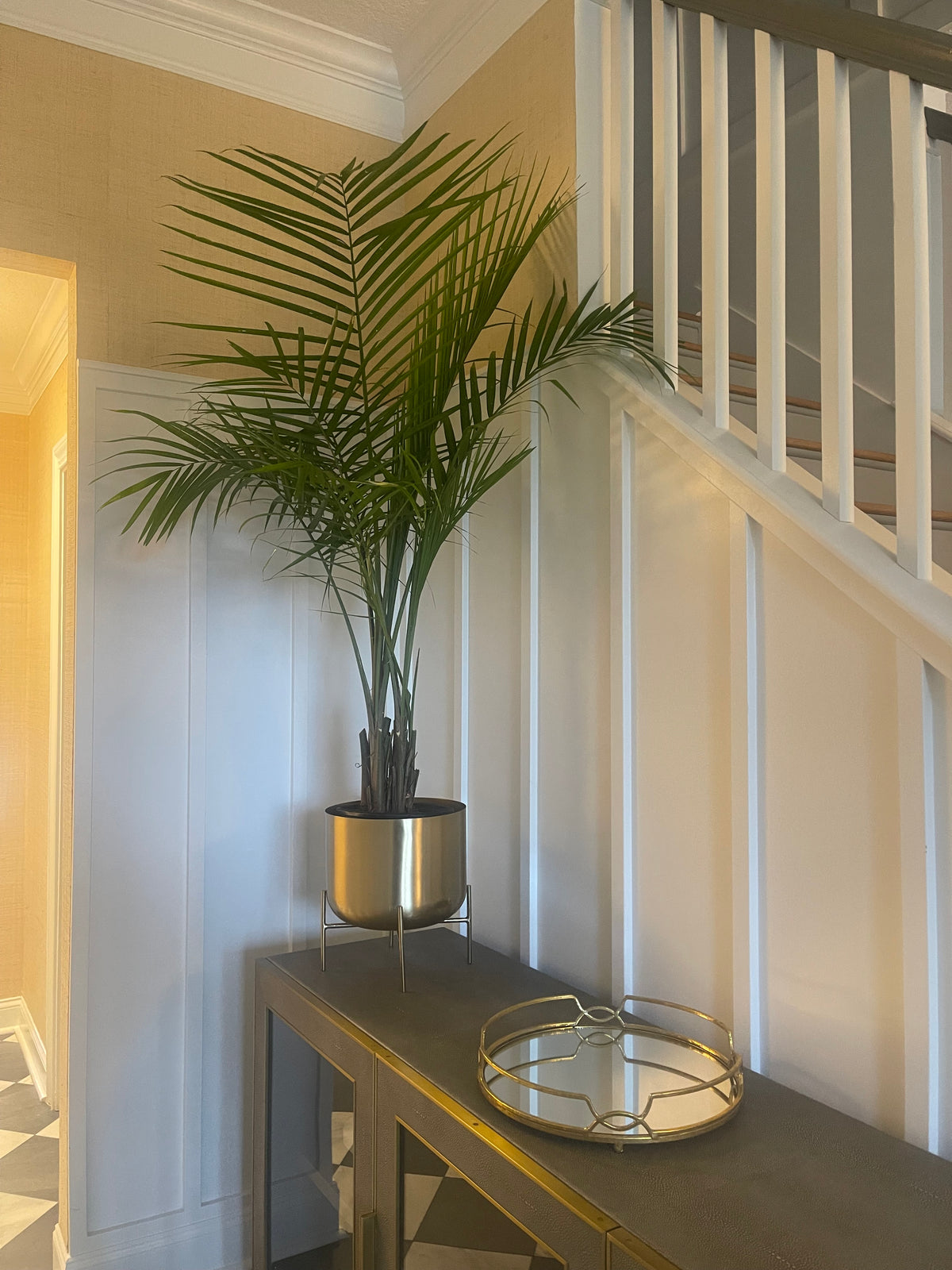 Interior Plant Styling Consultation