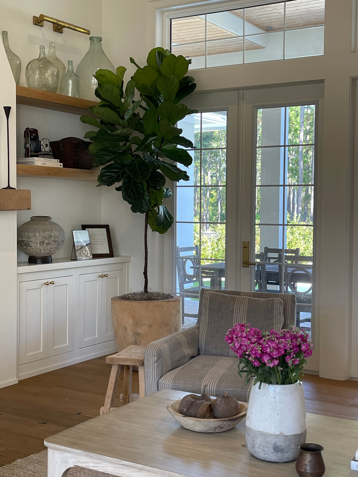 Commercial Interior Plant Styling Consultation