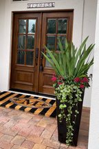 Custom Planter Consultation