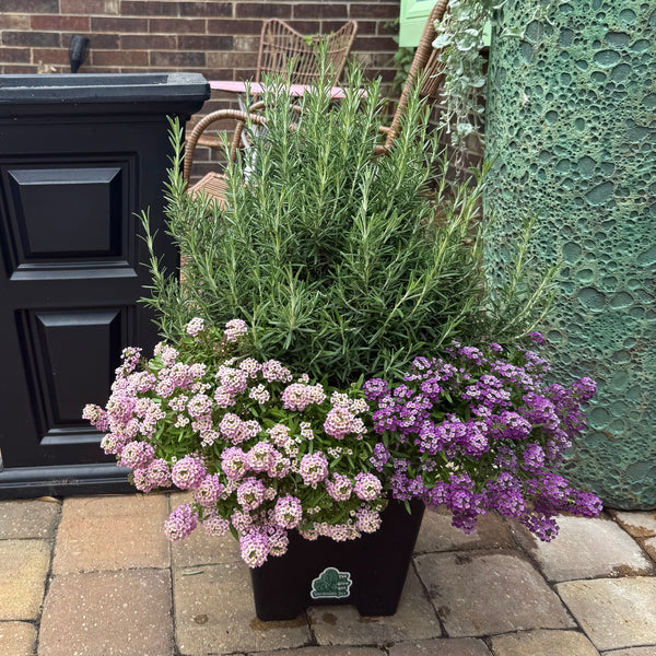 Black planter with potted plants in front on a stone patio