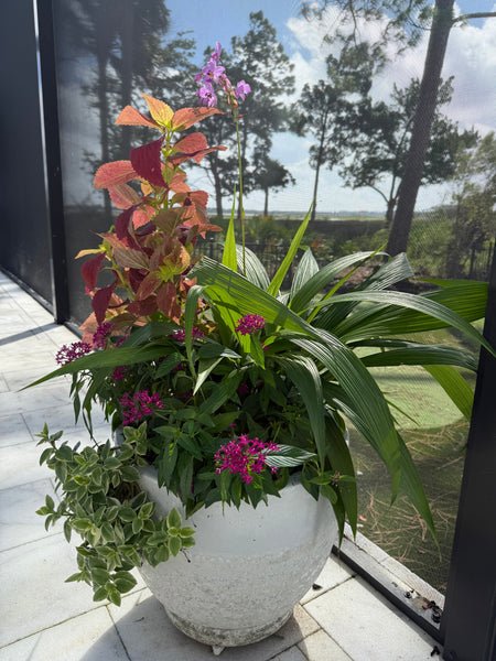 Fall Seasonal Planter Glow Up