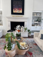 Interior Plant Styling Consultation