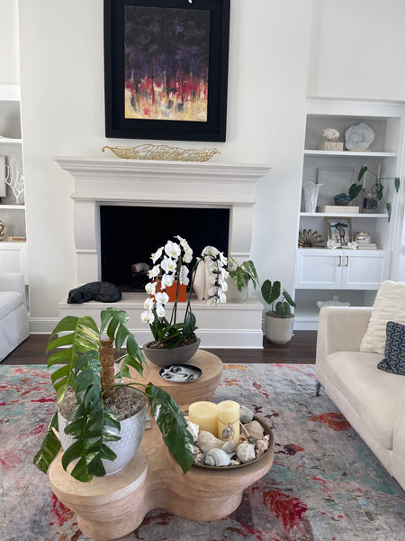 Virtual Plant Styling & Advice Consultation