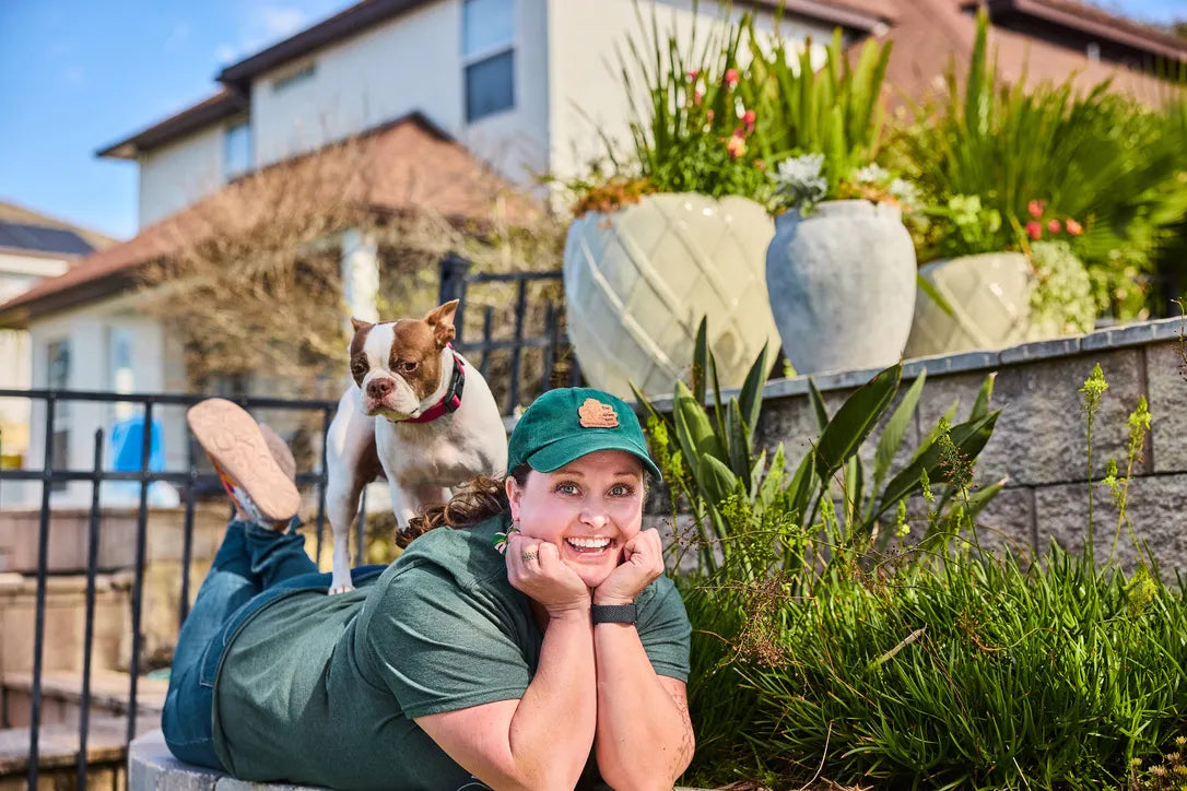 Latte the dog on top of India