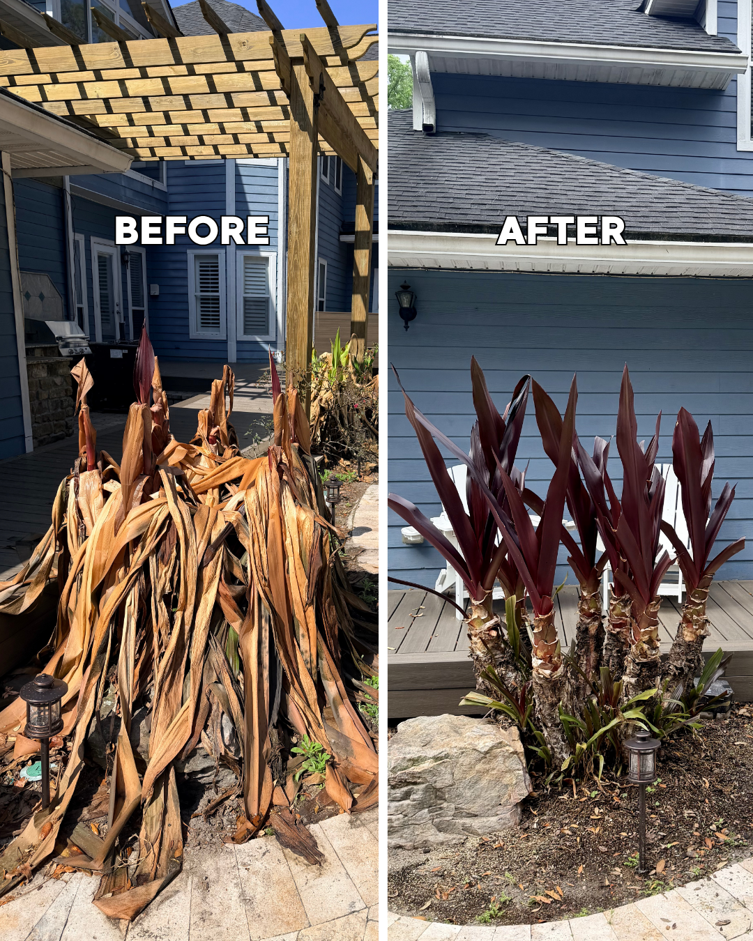 Landscape Cleanup Service