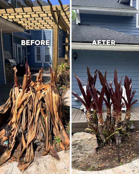Landscape Cleanup Service