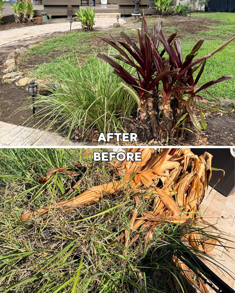 Landscape Cleanup Service