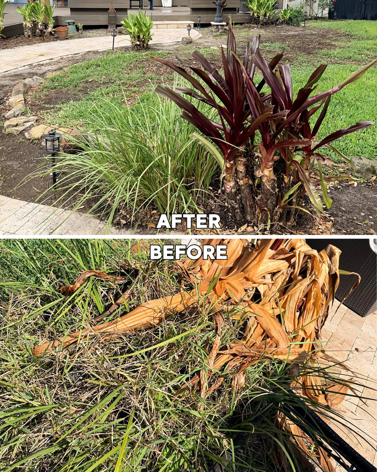 Landscape Cleanup Service