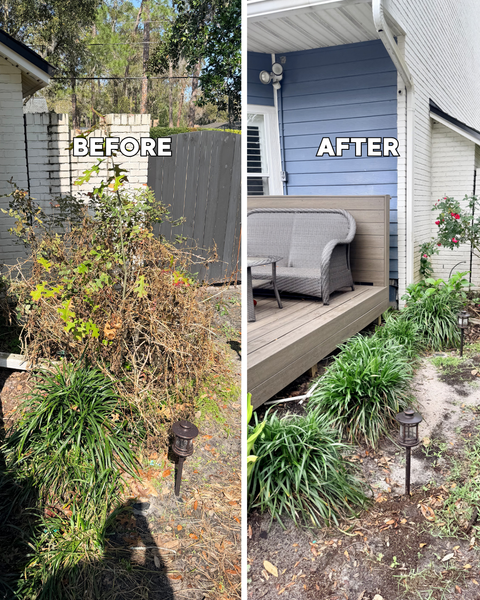 Landscape Cleanup Service