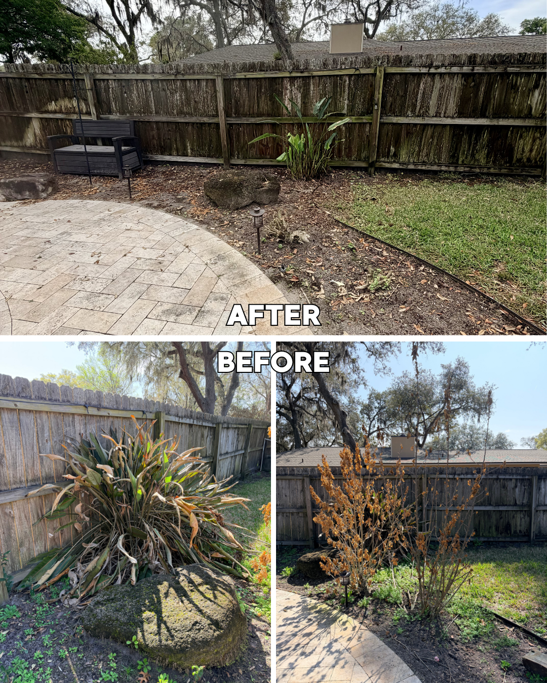 Landscape Cleanup Service