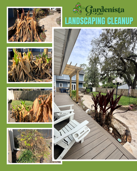 Landscape Cleanup Service