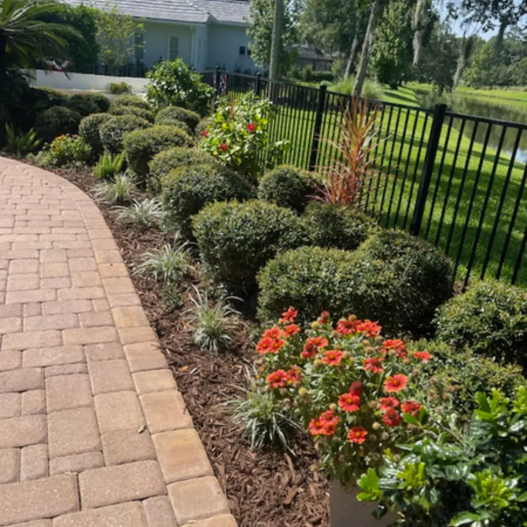 Landscaping next to brick pavers
