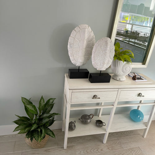 Commercial Interior Plant Styling Consultation