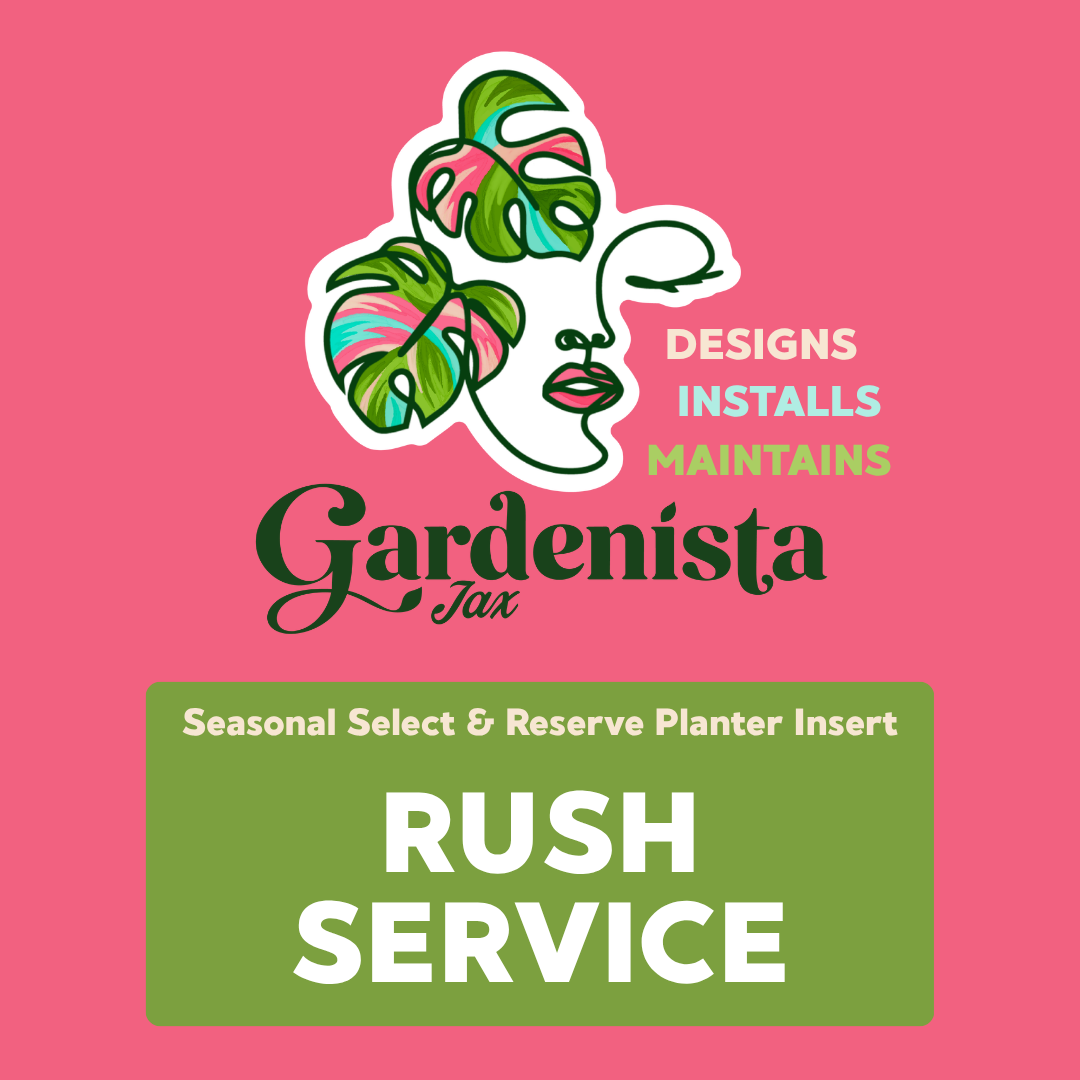 Rush Service: Seasonal Reserve or Select Planter Insert