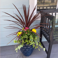 Made You Blush - DIY Seasonal Planter Guide
