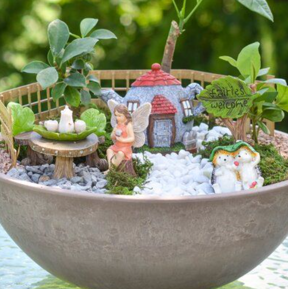 6/19 2025: Mommy and Me Fairy Garden Workshop