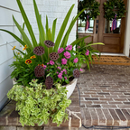 Seasonal Decor Add-Ons