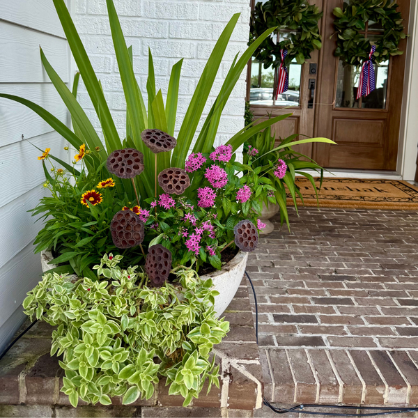 Seasonal Decor Add-Ons